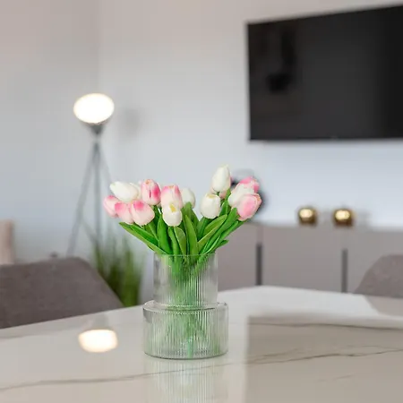 Natura Apartment-new Modern With View & Two Free Parking Spaces-10 Min Walk To Old Town Appartement